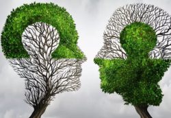 EMDR Relacional para Trauma Complexo